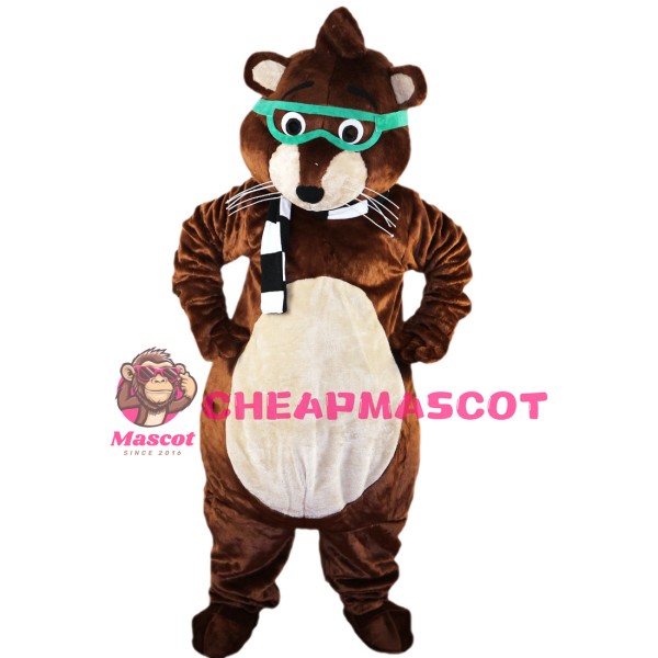 Lovely Raccoon With Green Goggle Mascot Costume
