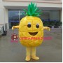 Cartoon Smiling Pineapple Mascot Costume