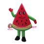 Fresh Sweet Slice Watermelon Mascot Costume