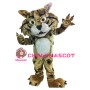 Bobcat Animal Mascot Adult Costume