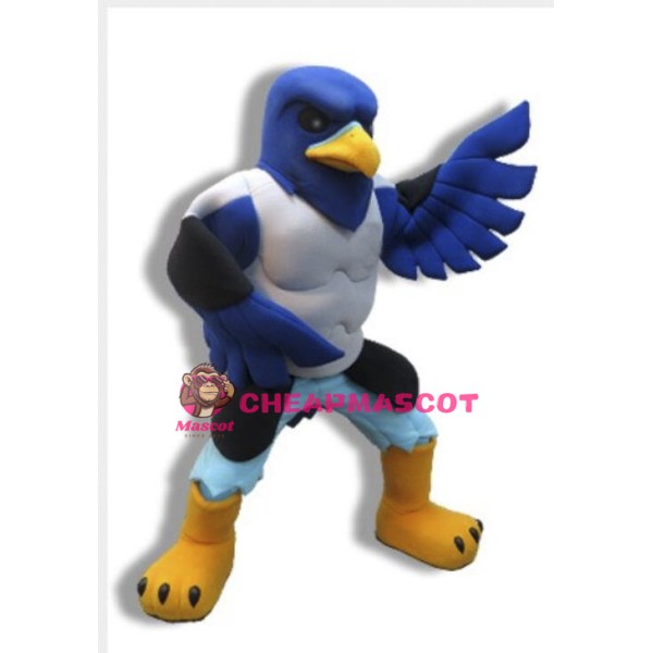Power Blue Falcon High School Mascot Costume