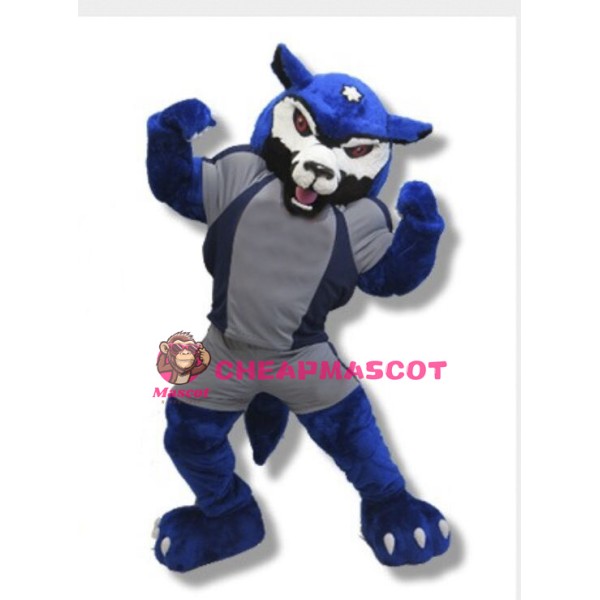 Power West Wolf Public School Mascot Adult Costume