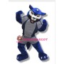 Power West Wolf Public School Mascot Adult Costume