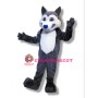 Morgan School Husky Mascot Costume 