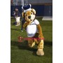 University Big Blue Crown Lion Mascot Costume
