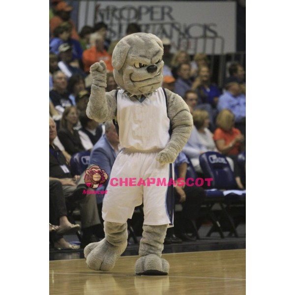 University Grey Power Bulldog Mascot Costume