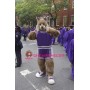 University Bobcat Mascot Costume