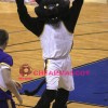 University Black Panther Animal Mascot Costume