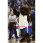 University Brown Bear Mascot Costume