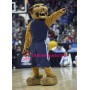 University Fierce Wildcats Mascot Costume