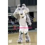 University Fierce Wolf Mascot Costume