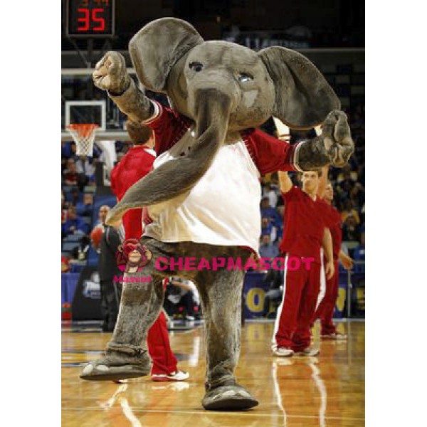 College Gray Elephant Mascot Costume