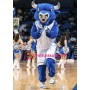 College Blue Power Buffalo Mascot Costume 