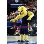 University Yellow Power Bulldog Mascot Costume 