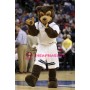 University Grizzly Bear Mascot Costume