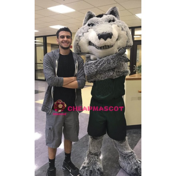 University Fierce Gray Wolf Mascot Costume
