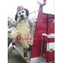 Fire Dalmatian Dog Mascot Adult Costume