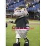 Baseball Elephant Mascot Adult Costume