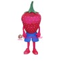 Strawberry Lightweight Mascot Adult Costume