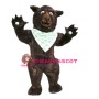 Big Brown Bear Mascot Costume 
