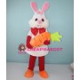 Easter Carrot Bunny Rabbit Cartoon Mascot Costume