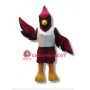 Cardinal Bird High School Mascot Adult Costume