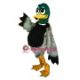 Cute Cartoon Mallard Duck Mascot Costume 