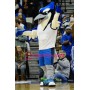 University Basketball Blue Jay Mascot Costume 