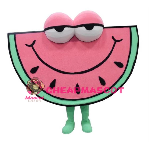 Lethargic Cartoon Pink Watermelon Mascot Adult Costume