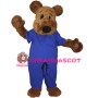Plush Brown Bear Mascot Adult Costume 