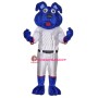 Sports Blue Dog Mascot Costume