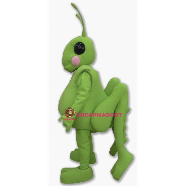 Cute Grasshopper Mascot Costume For Adult