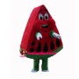Slice Red Stuffed Watermelon Mascot Costume
