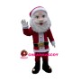 Responsible Santa Claus Mascot Costume