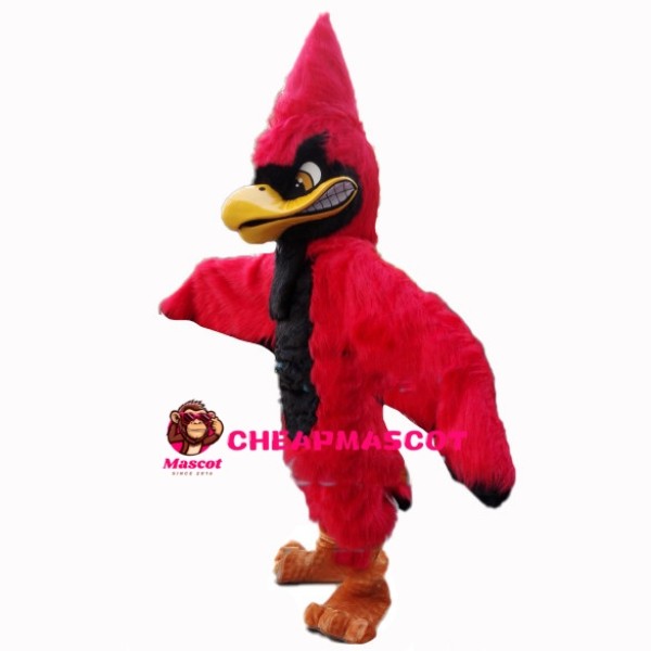 Grumpy Pointed Head Eagle Mascot Costume