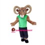 Hale Ram Wearing Green Vest Mascot Costume