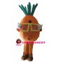 Carrot With Yellow Frames Mascot Costume