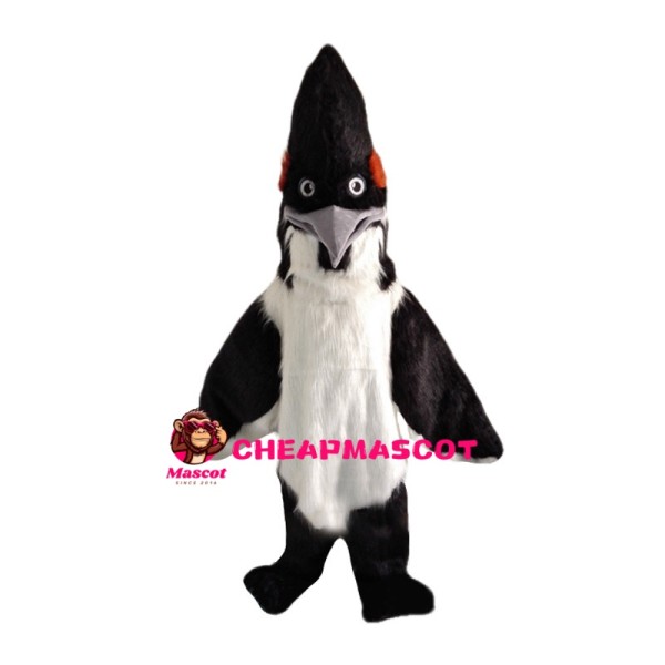 Pointed Head Hoopoe Bird Mascot Costume