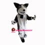 Frank Dog With Collar Mascot Costume