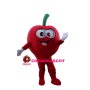 Ripe Red Apple Mascot Costume