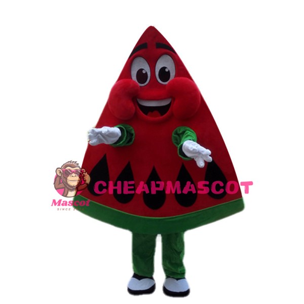Cartoon Red Triangle Watermelon Mascot Costume