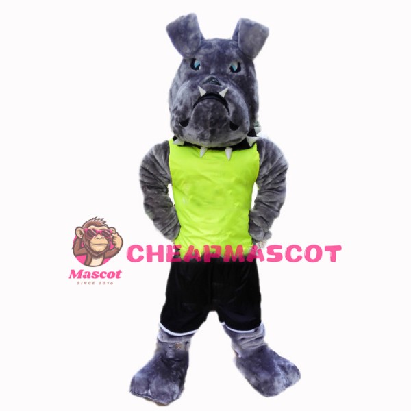 Grey American Bulldog Sports School Mascot Costume 