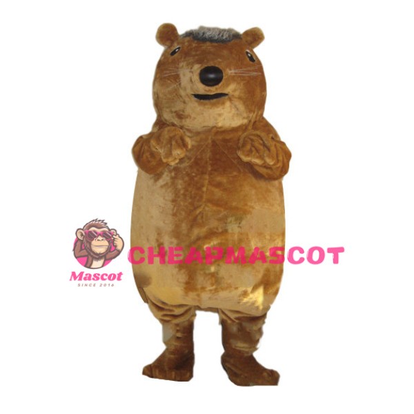 Lazy Hedgehog Mascot Costume 