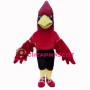 Fierce Cardinal Bird Sports School Mascot Costume 