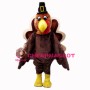 Thanksgiving Pilgrim Turkey Mascot Costume 