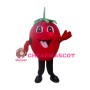 Cheerful Strawberry Mascot Costume 