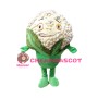 Smug Cartoon Cauliflower Mascot Costume