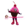 Huge Cartoon Cupcake Mascot Costume For Female