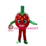 Sexy Cartoon Strawberry Mascot Costume