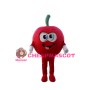 Huge Cartoon Red Apple Mascot Costume 